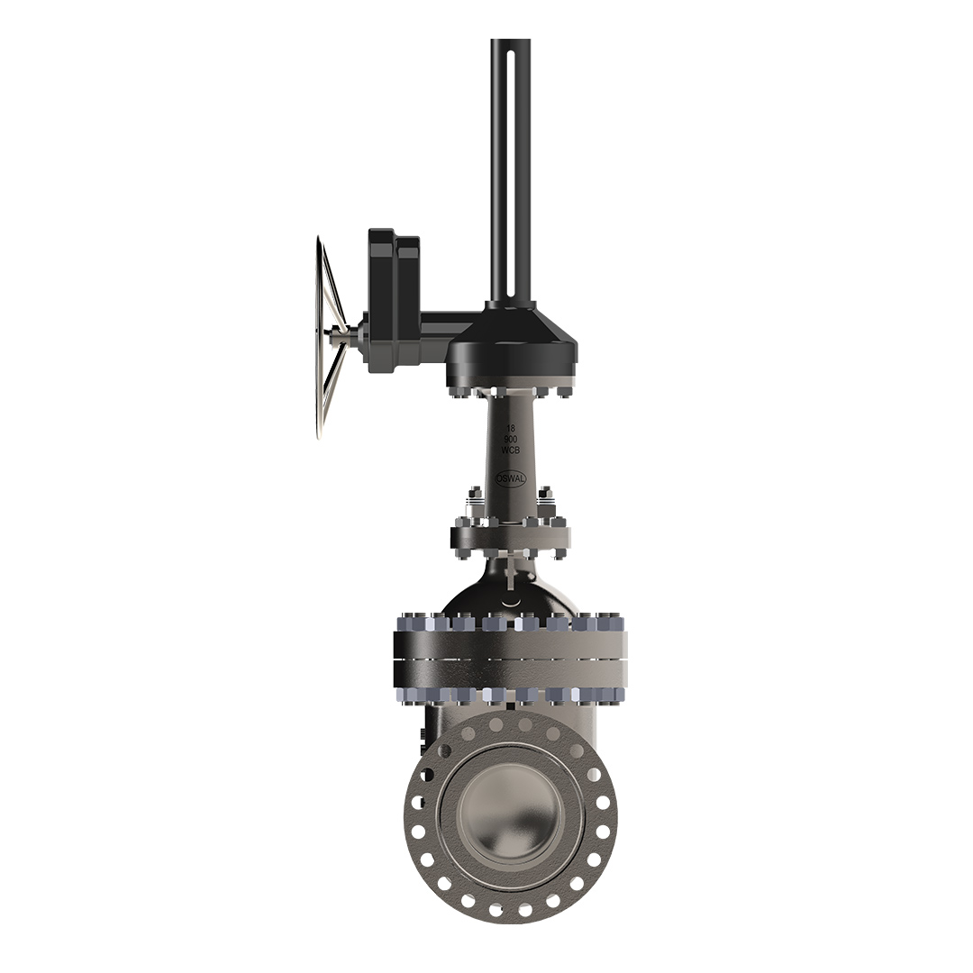 Bolted Bonnet Gate Valve Image 2
