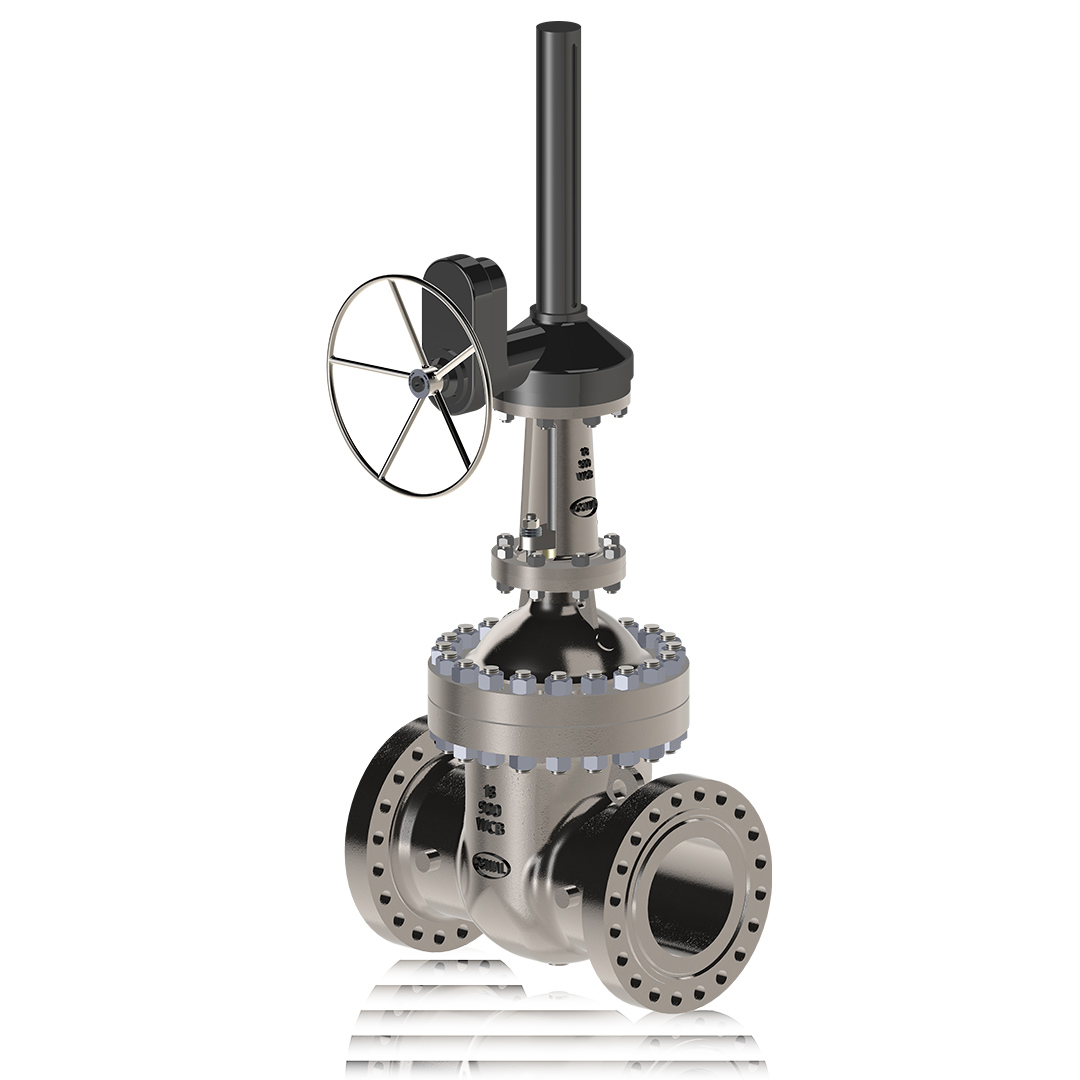 Bolted Bonnet Gate Valve Image 3