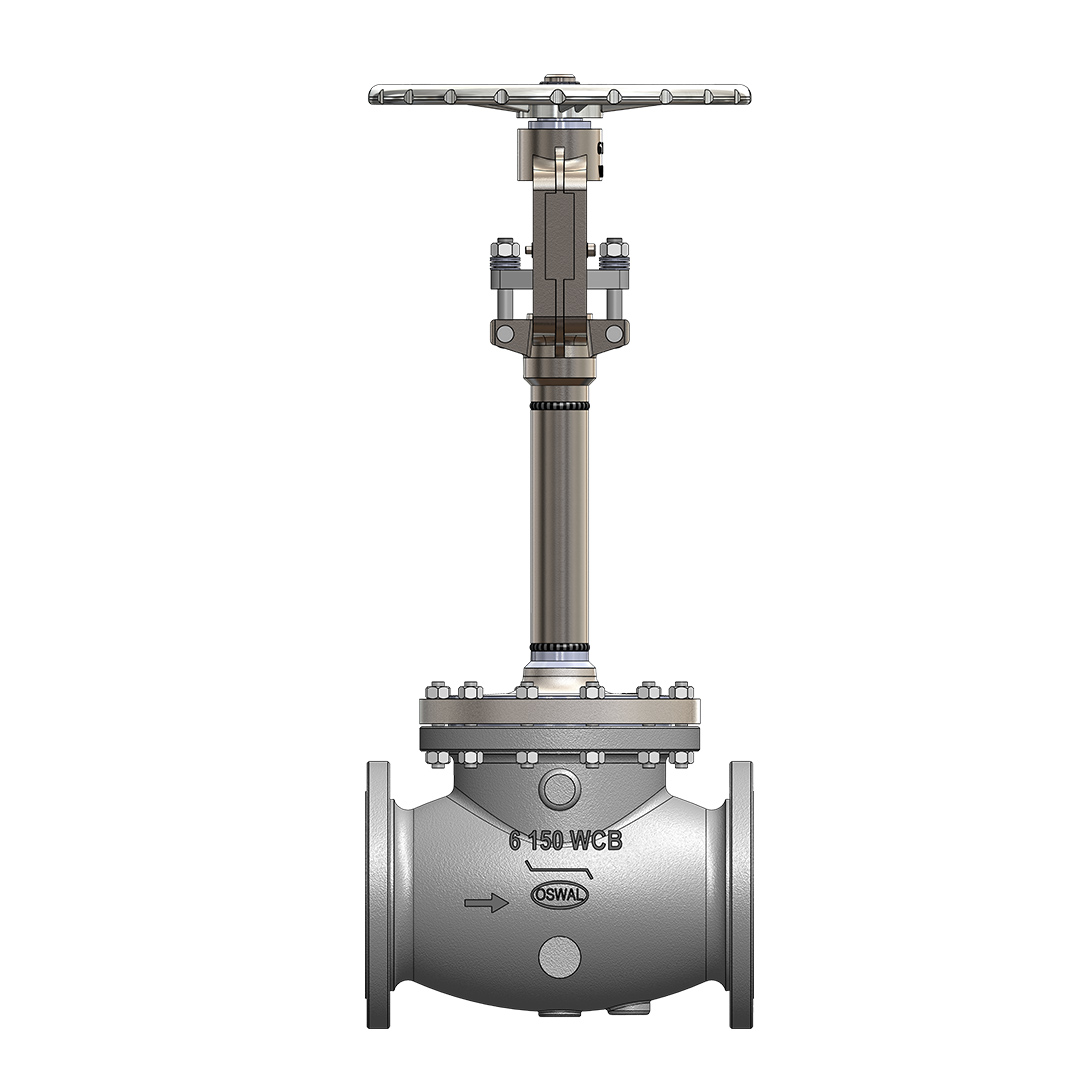 Globe Valve (Bolted Cover) Image 2