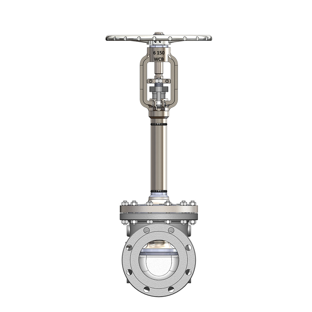 Globe Valve (Bolted Cover) Image 3