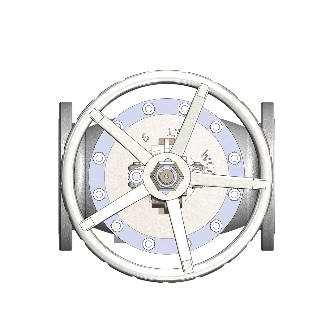 Globe Valve (Bolted Cover) Image 4