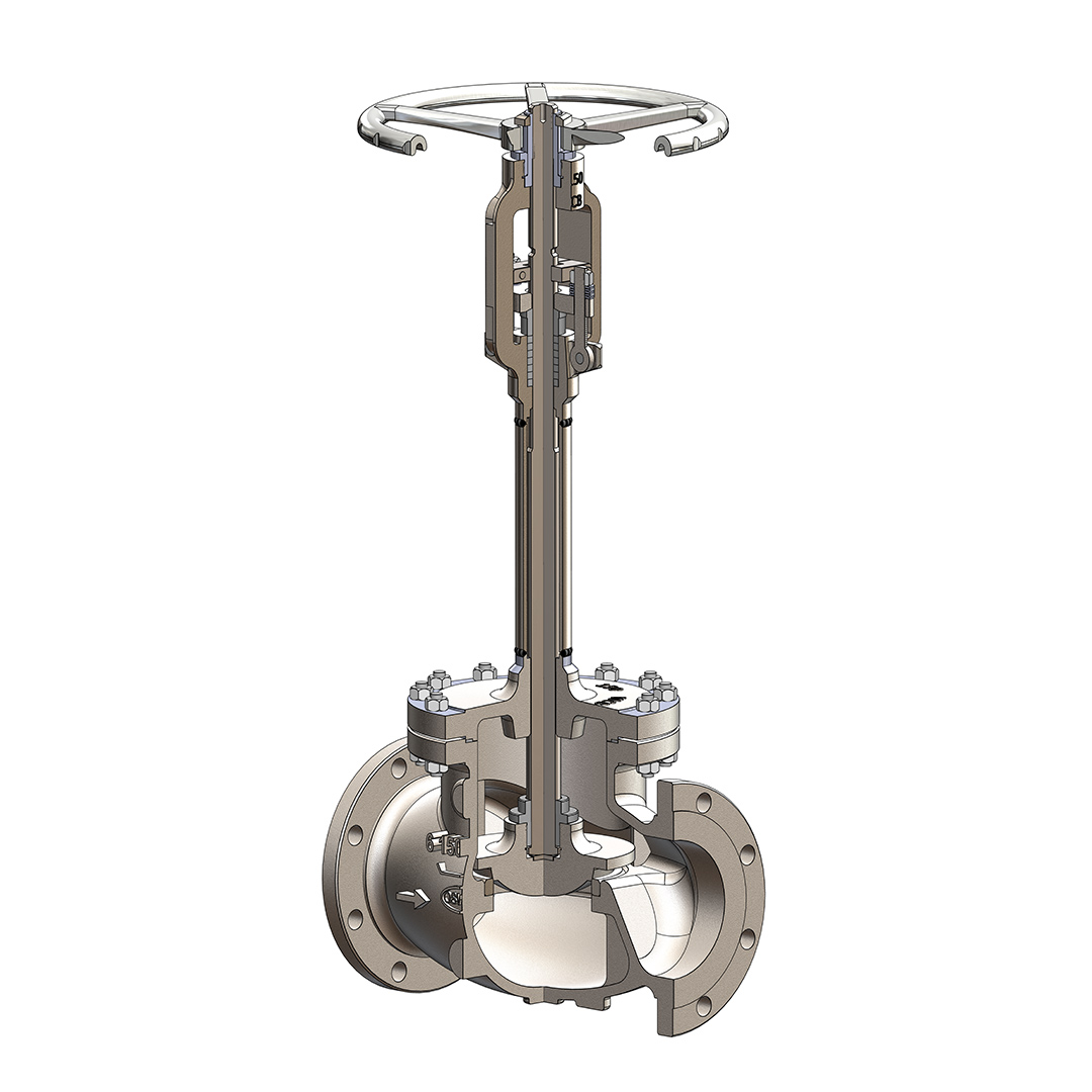 Globe Valve (Bolted Cover) Image 5