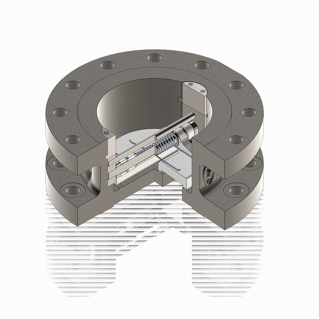 Dual Plate Check Valve Image 2