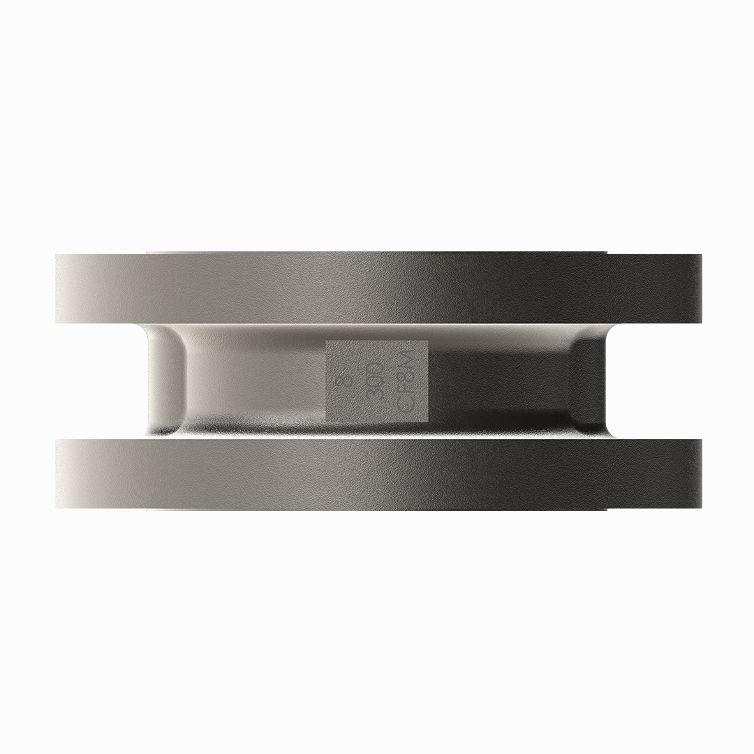 Dual Plate Check Valve Image 3