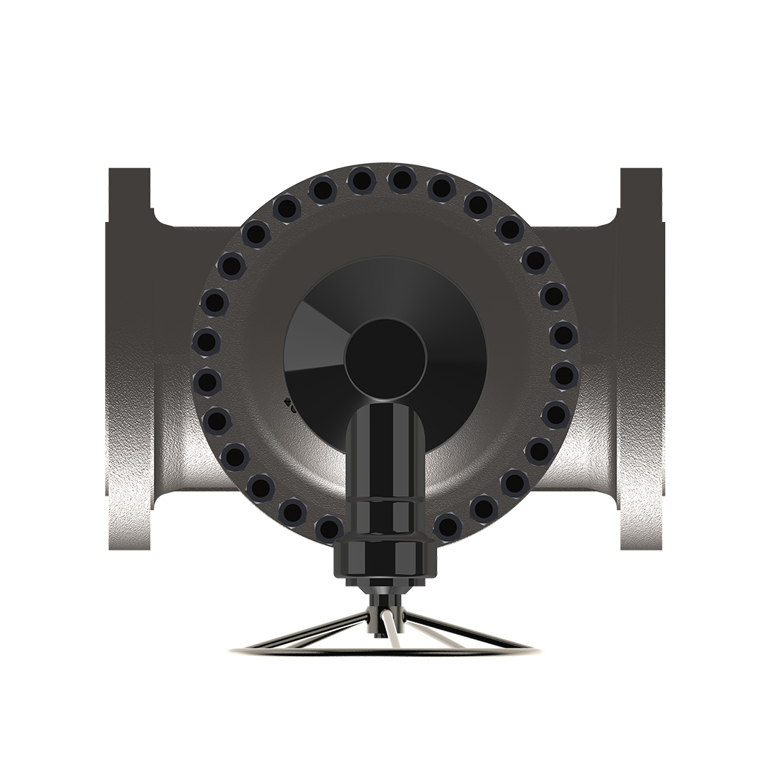 Cryogenic Gate Valve Image 5
