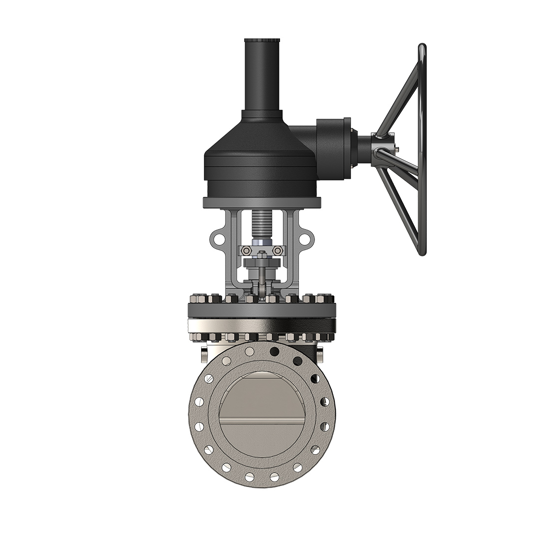 Globe Valve (Bolted Cover) Image 3
