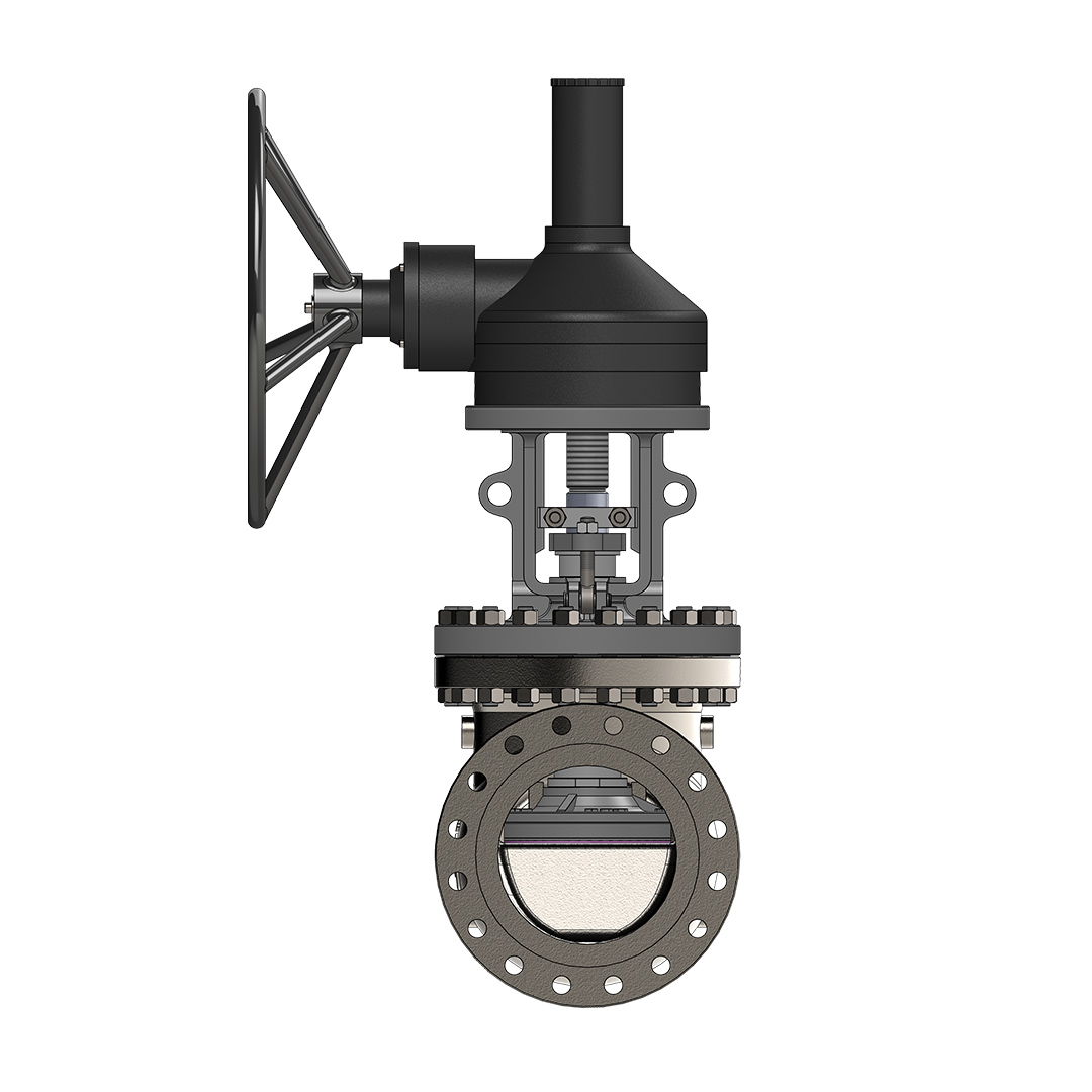 Globe Valve (Bolted Cover) Image 4