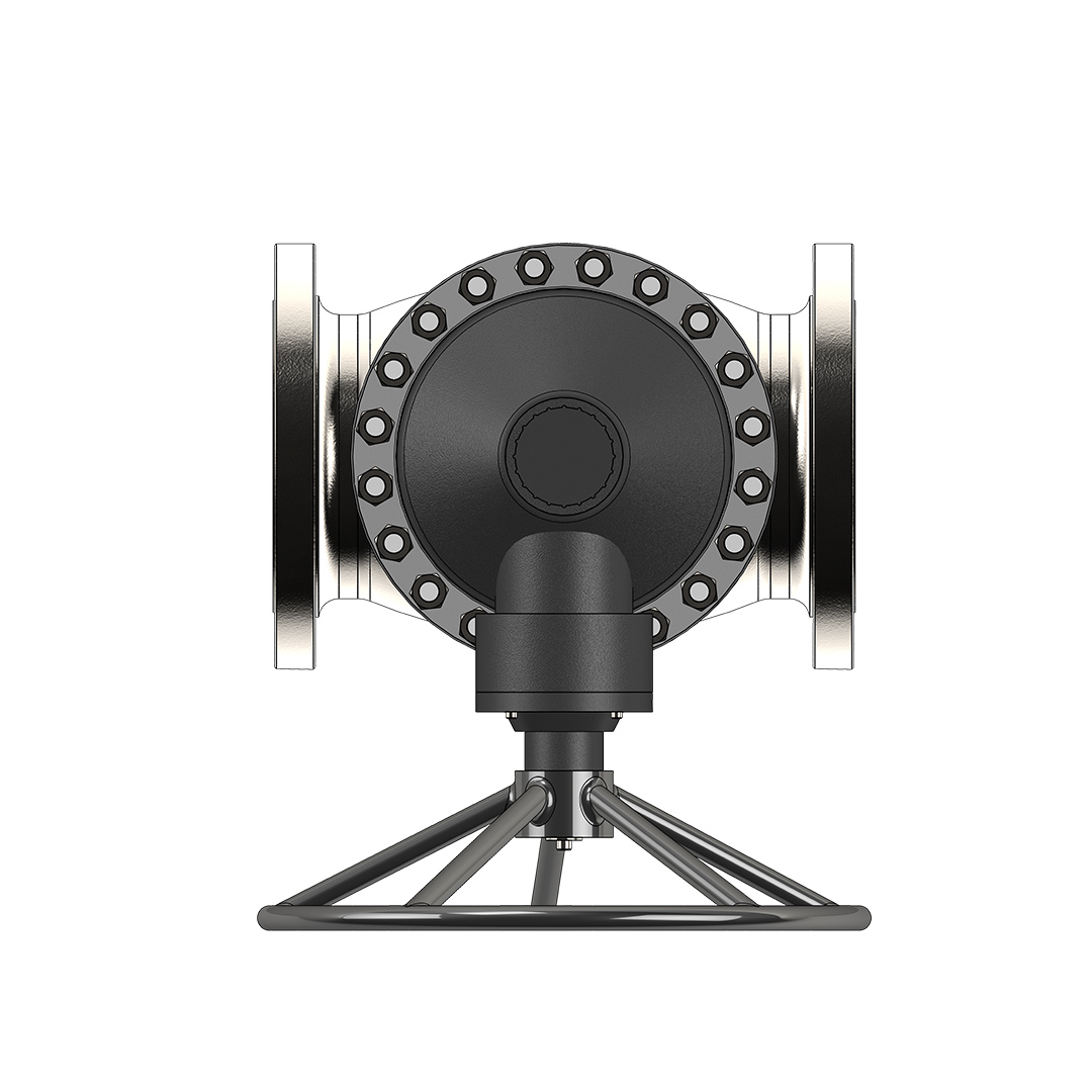 Globe Valve (Bolted Cover) Image 5