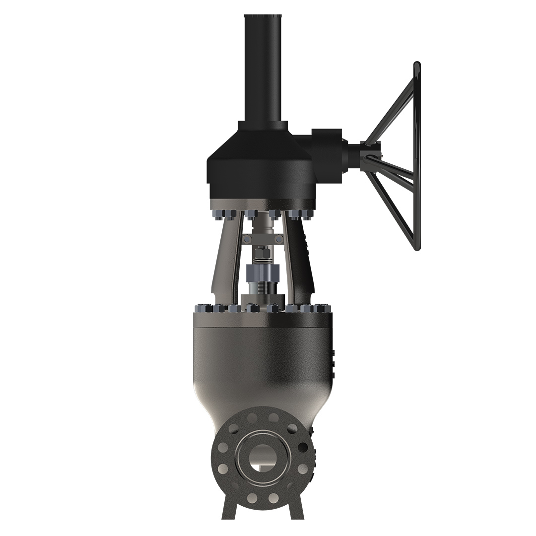 Globe Valve (Pressure Seal Cover) Image 3