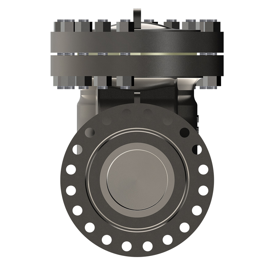 Swing Check Valve Image 2
