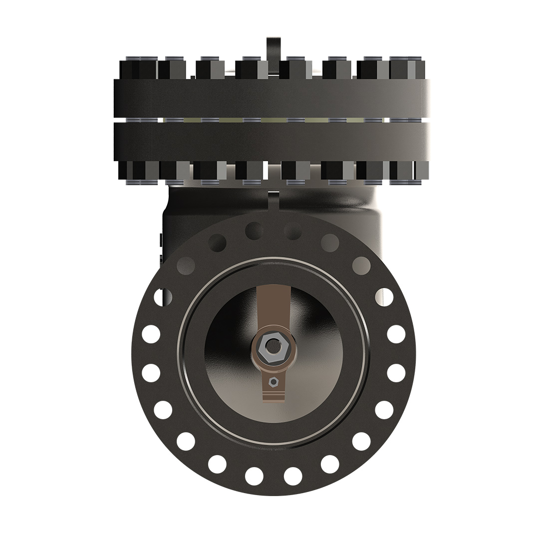 Swing Check Valve Image 3