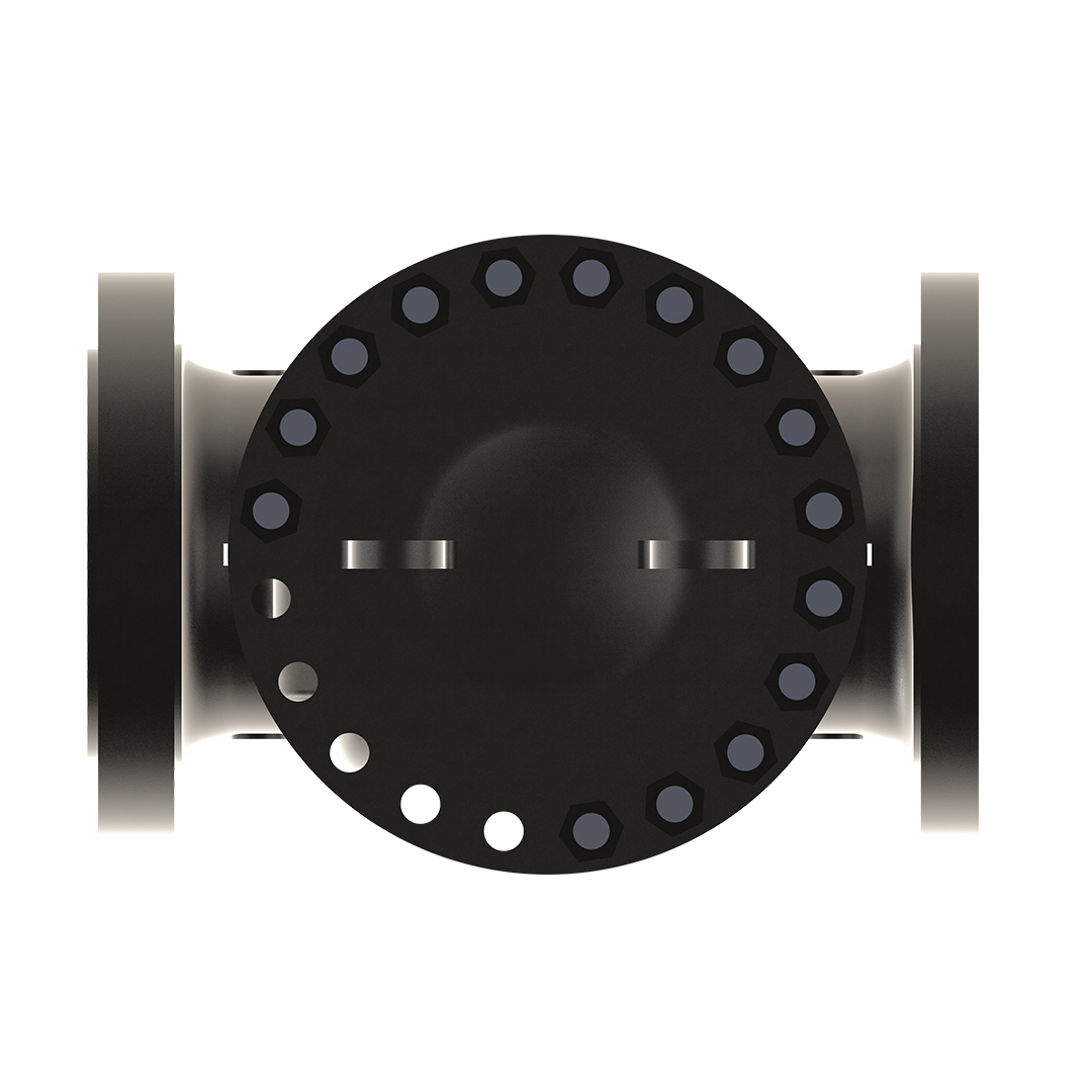 Swing Check Valve Image 4