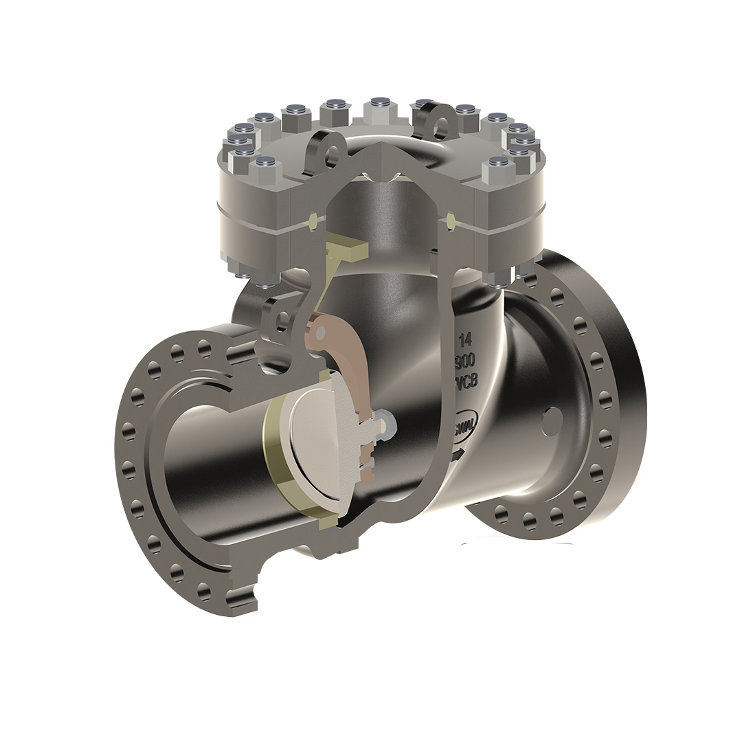 Swing Check Valve Image 6