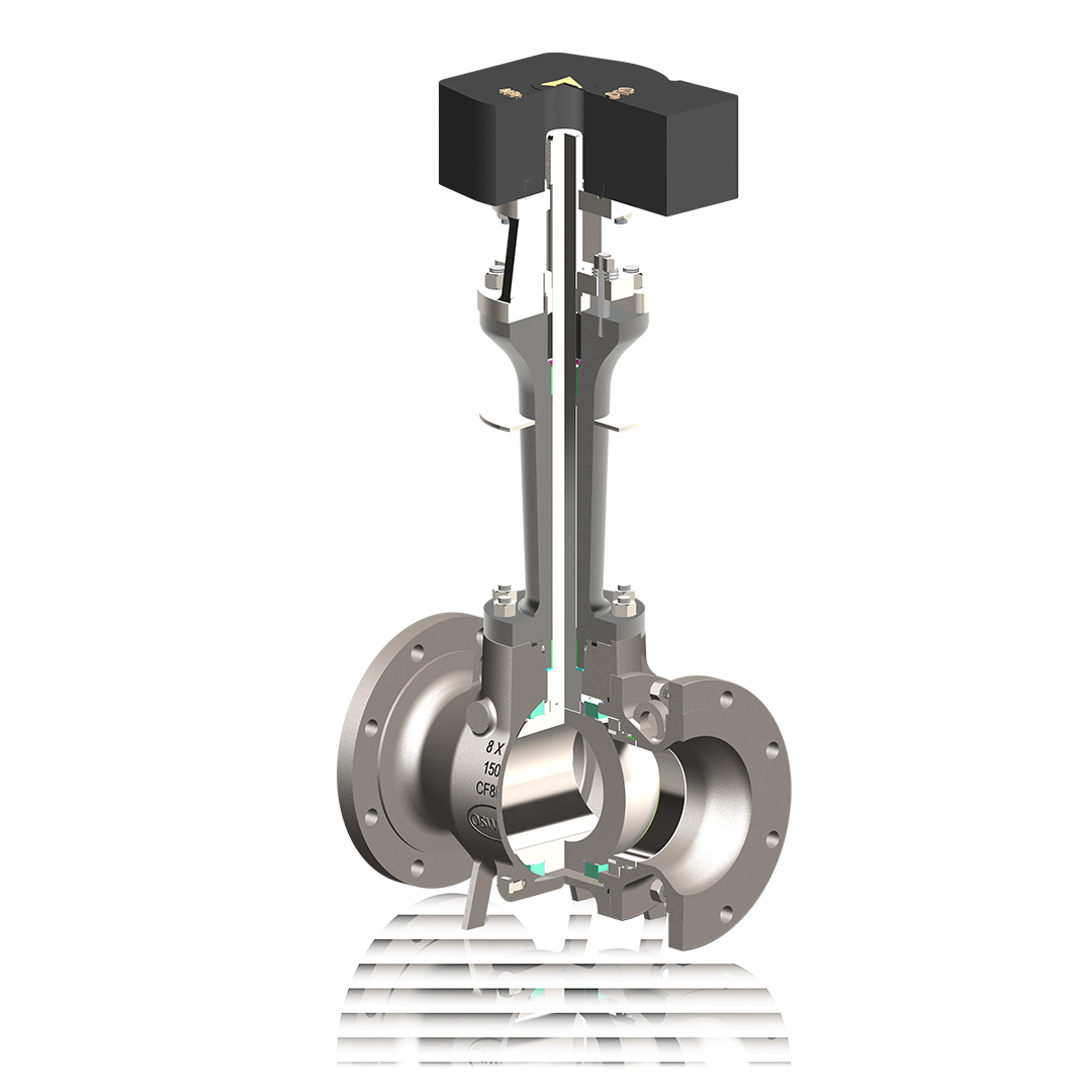 Trunnion Mounted Ball Valve Image 5