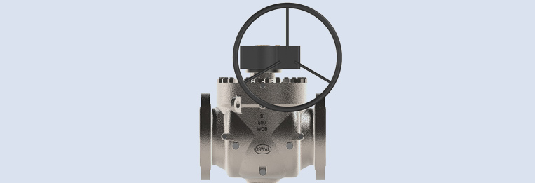 Introduced Top Entry Ball Valves