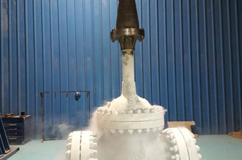 Exploring the World of Cryogenic Valves: A Comprehensive Guide